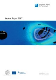 IPP Annual Report 2007 - Max-Planck-Institut für Plasmaphysik ...