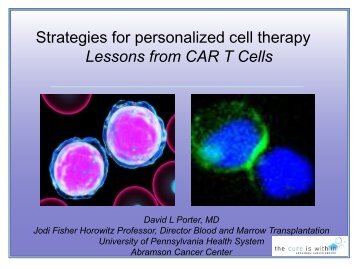 Lessons from CAR T Cells