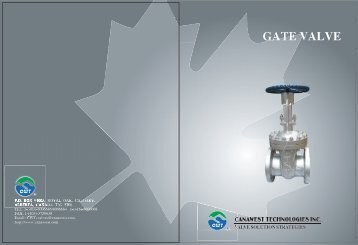 CWT Gate Valves