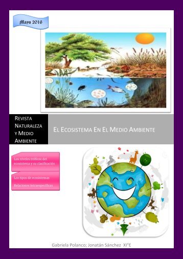 Revista Ecosistema