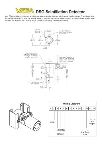 DSG Scintillation Detector