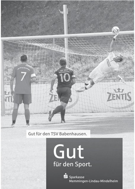 20160514 15 Stadionzeitung TSV Babenhausen - SV Eggenthal