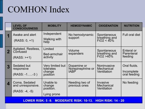 COMHON Index Design and validation of a new rating scale to ...