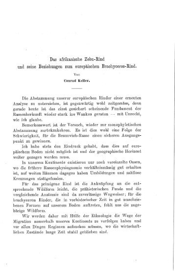 Das afrikanische Zebu-Rind und seine Beziehungen zum europäischen Brachyceros-Rind. (Conrad Keller, 1848-1930)