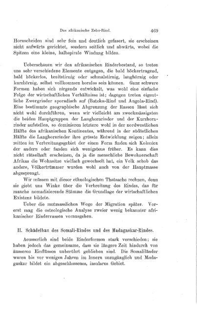 Das afrikanische Zebu-Rind und seine Beziehungen zum europäischen Brachyceros-Rind. (Conrad Keller, 1848-1930)