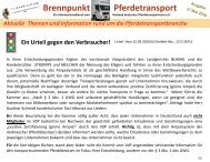 Magazin Ausgabe 7 -  Mai 2016 - Brennpunkt Pferdetransport