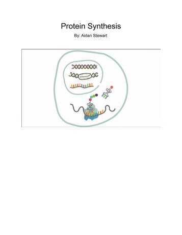 Protein Synthesis-Flipbook - Google Docs