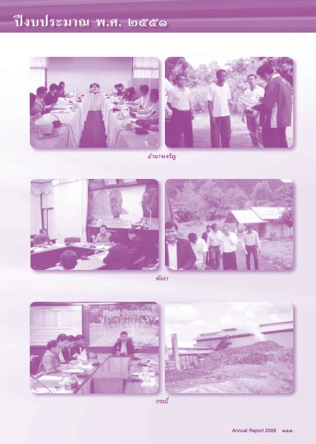 Annual Report 2008