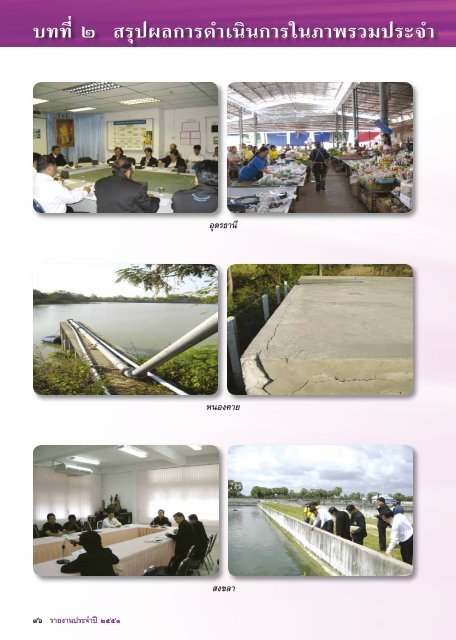 Annual Report 2008