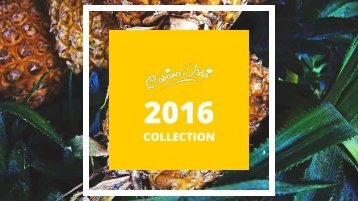 product catalogue 2016 (12)