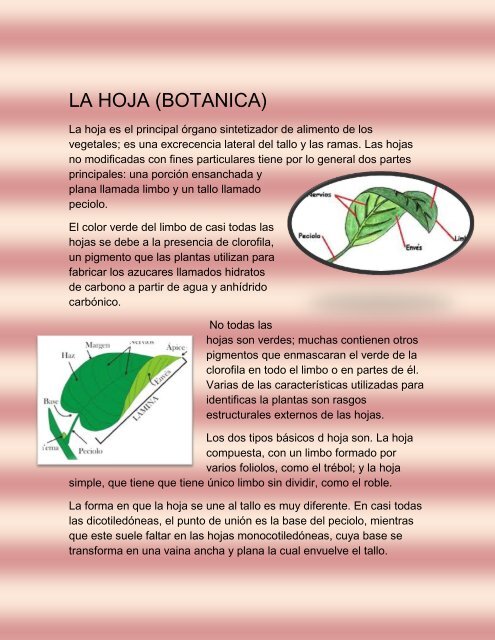 LA BIOLOGIA INTEGRAL