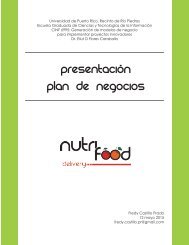 F.Castillo_Plan de Negocios