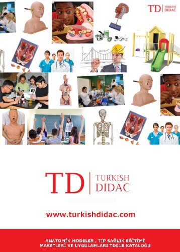 TD01B Anatomik Modeller Tıp Sağlık Eğitimi Maketleri ve Uygulamaları