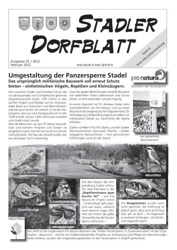 Umgestaltung der Panzersperre Stadel - Gemeinde Stadel - Kanton ...