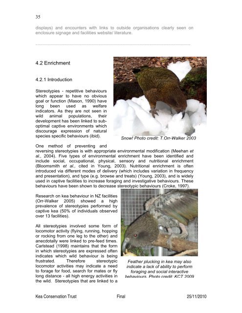 (Nestor notabilis) Husbandry Manual - Kea Conservation Trust