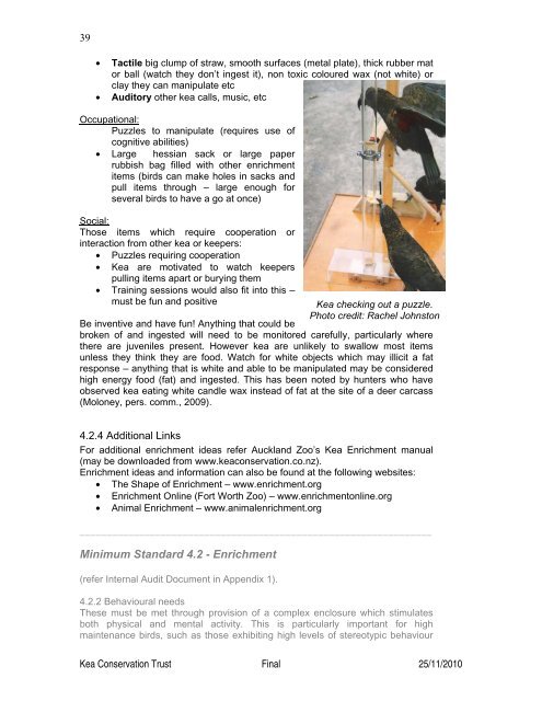 (Nestor notabilis) Husbandry Manual - Kea Conservation Trust