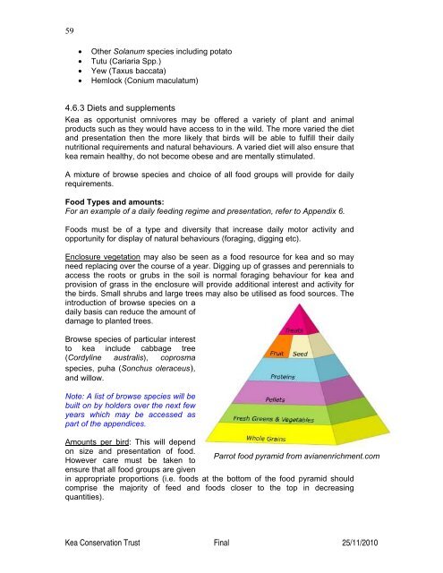 (Nestor notabilis) Husbandry Manual - Kea Conservation Trust