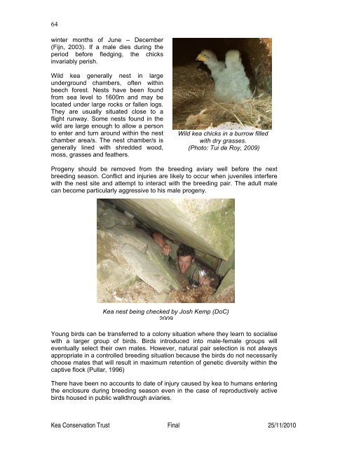 (Nestor notabilis) Husbandry Manual - Kea Conservation Trust