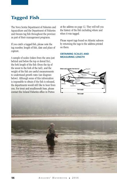 ANGLERS’ HANDBOOK