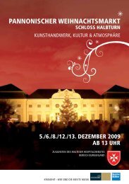 pannonischer weihnachtsmarkt schloss halbturn - Neusiedler See