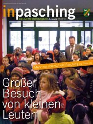 (5,25 MB) - .PDF - Pasching