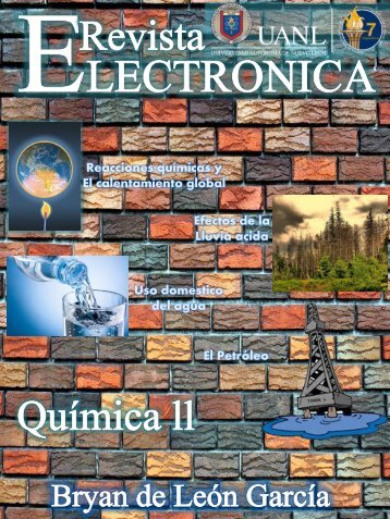Revista-electronica
