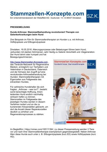 Hunde Arthrose: Stammzellbehandlung revolutioniert Therapie von Gelenkerkrankungen beim Hund