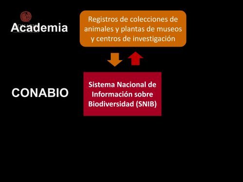 Biodiversidad mexicana