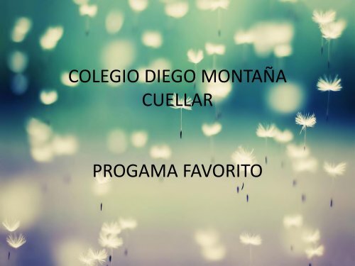 PROGRAMA FAVORITO