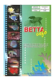 2016 - 05 - Betta-Info