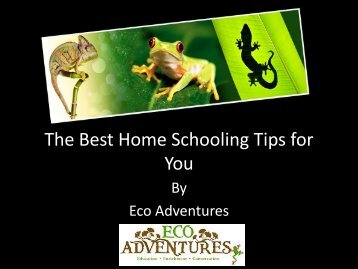 The Best Home Schooling Tips for You