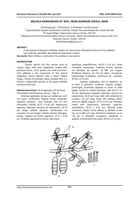 meliola kannurensis sp. nov. from (kannur) - Bioscience Discovery