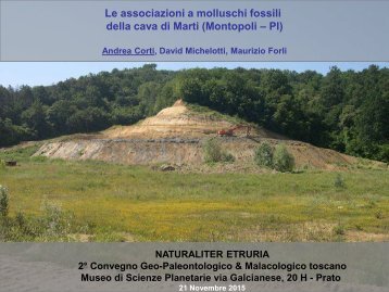 Le associazioni a molluschi fossili della cava di Marti (Montopoli – PI)