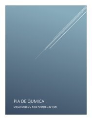 pia de quimica