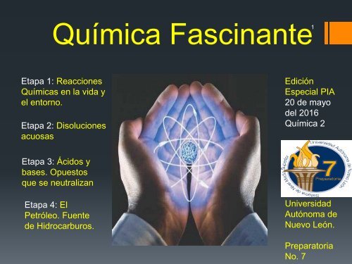 PIA-QUIMICA
