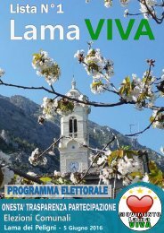 Programma Elettorale Movimento Lama VIVA