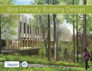 Bird-Friendly Building Design