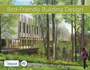 Bird-Friendly Building Design