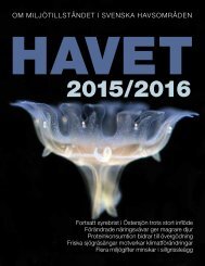 havet