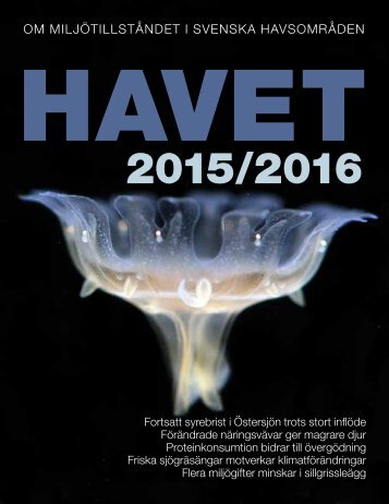 havet