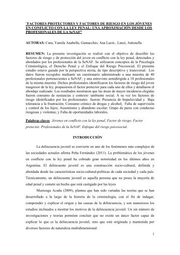 FACTORES PROTECTORES Y FACTORES DE RIESGO EN LOS JOVENES EN CONFLICTO CON LA LEY PENAL. UNA APROXIMACION DESDE LOS PROFESIONALES DE LA SeNAF