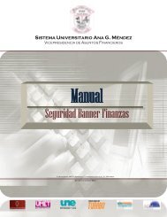 Manual de Seguridad Banner Finanzas