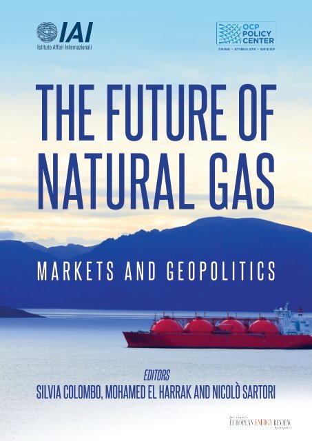 The Future Of Natural Gas