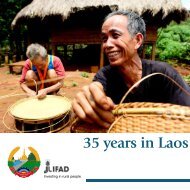 35 years in Laos 