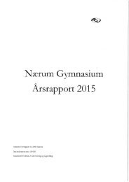rsrapport 2015 m. us.