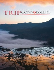 Trip Connoisseurs Profile - Chinese