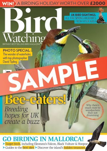 Bird Watching Mini Mag