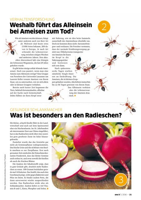 oneX magazin 05.2016