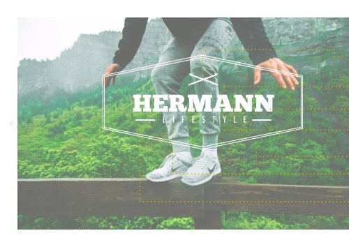 Dokumentation _Hermann