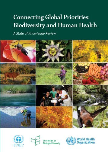 Connecting Global Priorities Biodiversity and Human Health